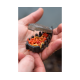 Korum - Bait Gripper Feeder 220gr Korum - Bait Gripper Feeder 220gr